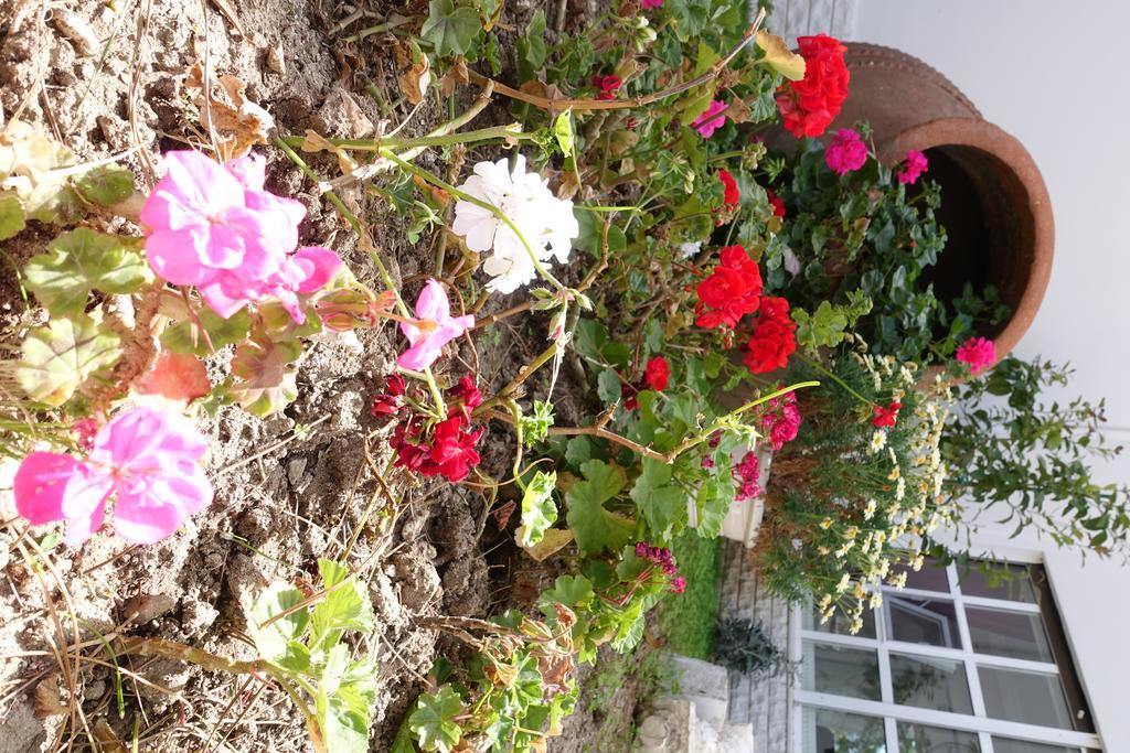 Limonlu Ev Ardic Hotel Alaçatı Buitenkant foto